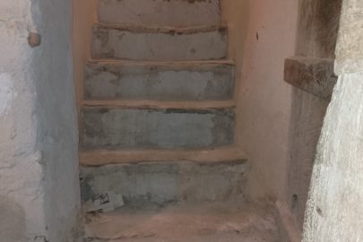 IMG_20230222_124419