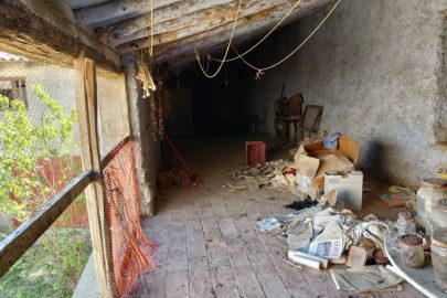 IMG_20230414_115321_HDR