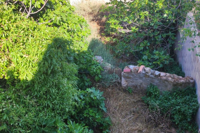 VISTA TERRENO